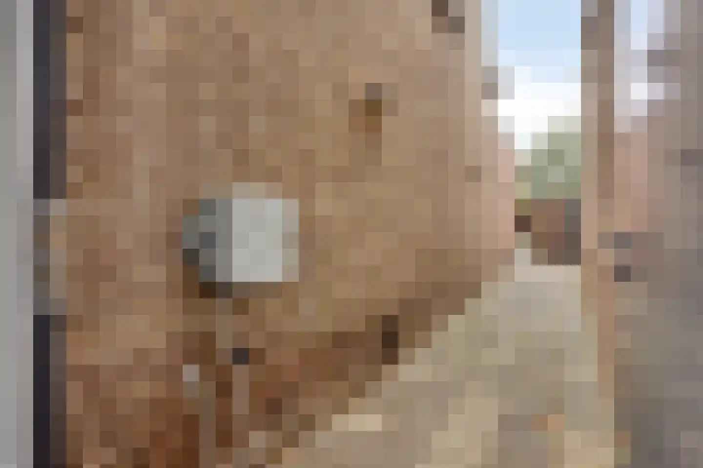 Heistraat 24 Rijen thumbnail 48