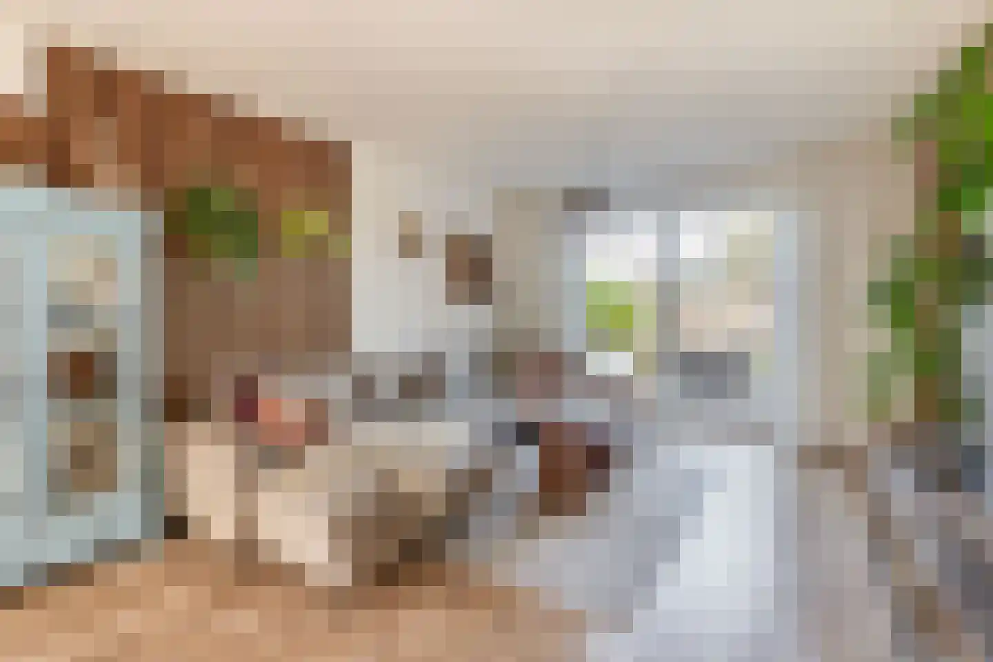 Heistraat 240 Sprang-Capelle thumbnail 11