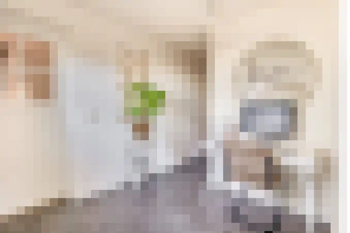 Heistraat 240 Sprang-Capelle thumbnail 16