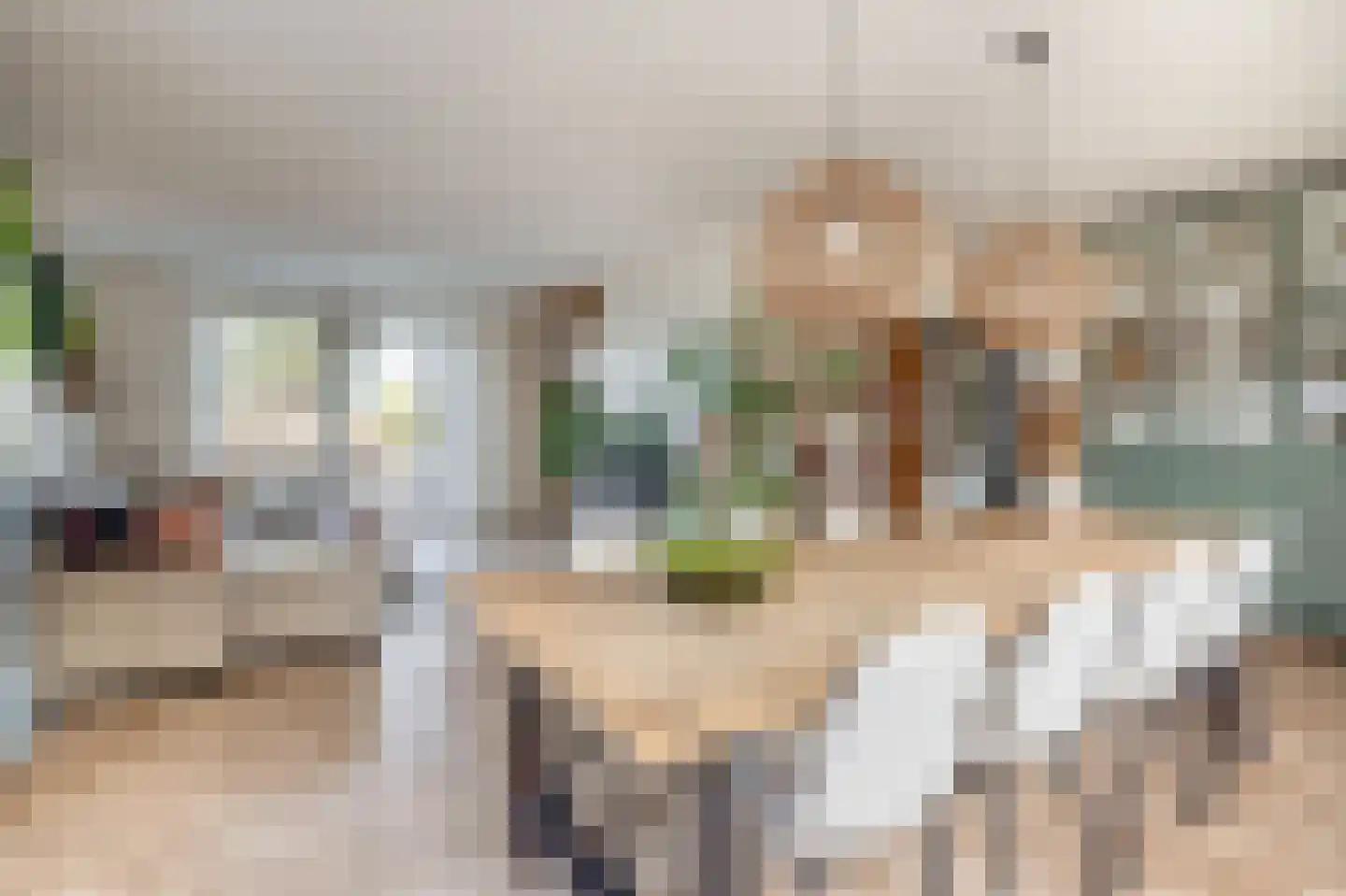 Heistraat 240 Sprang-Capelle thumbnail 19