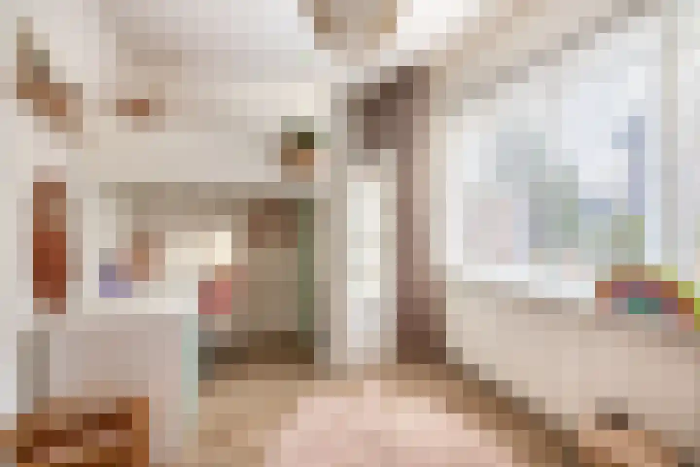 Heistraat 240 Sprang-Capelle thumbnail 25