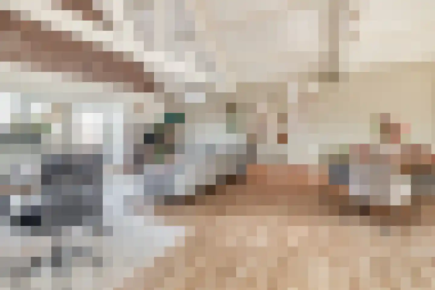 Heistraat 240 Sprang-Capelle thumbnail 29