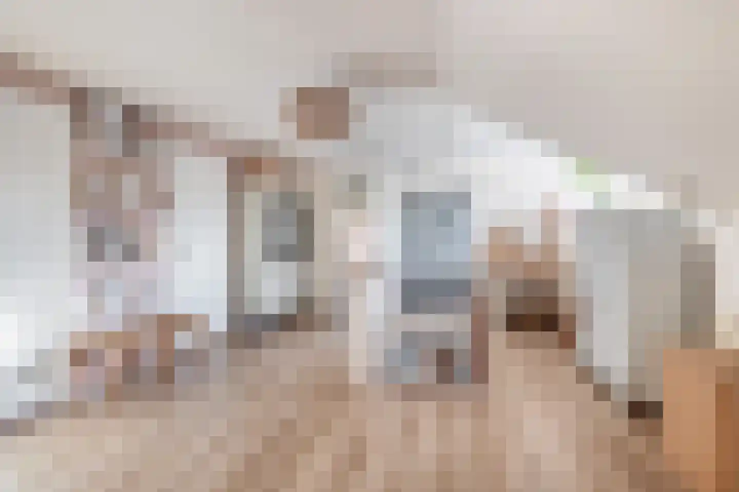 Heistraat 240 Sprang-Capelle thumbnail 38