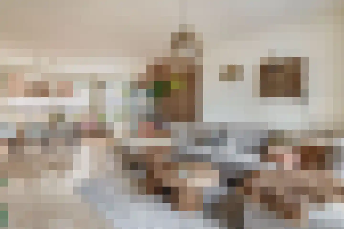 Heistraat 240 Sprang-Capelle thumbnail 4