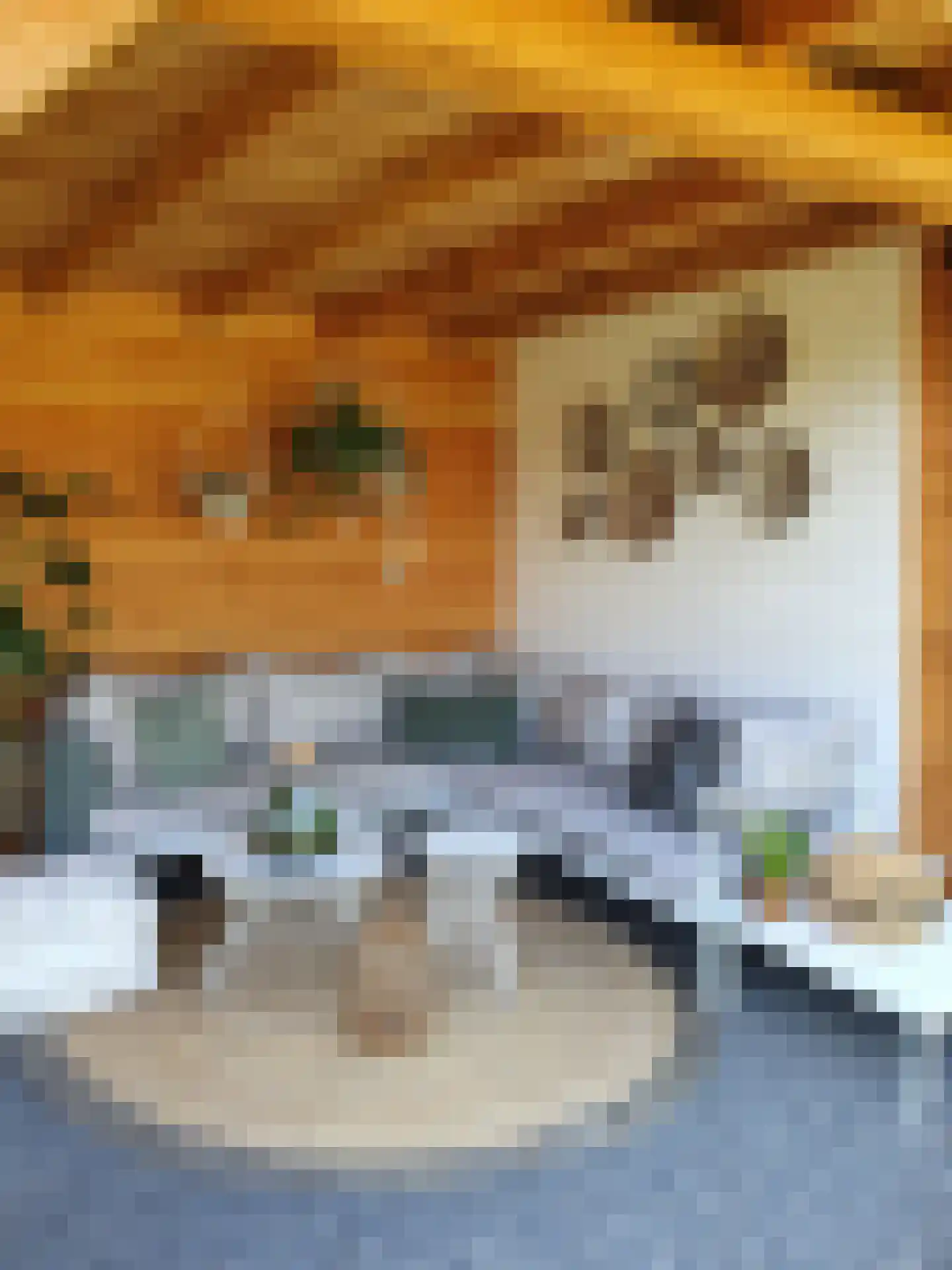 Heistraat 240 Sprang-Capelle thumbnail 41