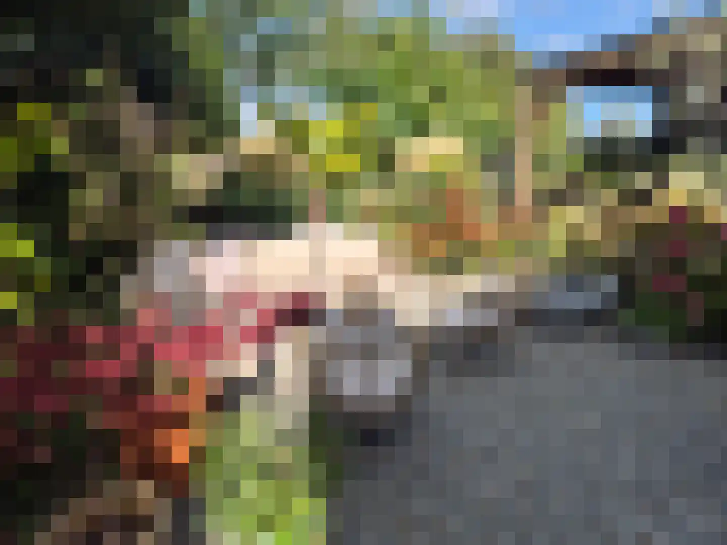 Heistraat 240 Sprang-Capelle thumbnail 45