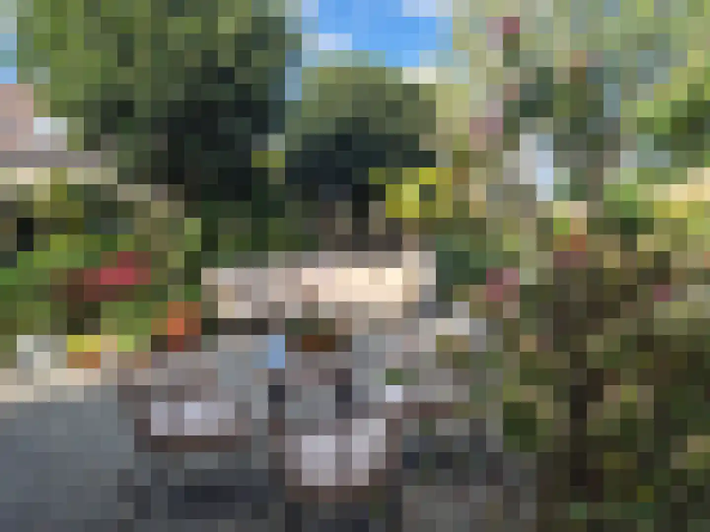 Heistraat 240 Sprang-Capelle thumbnail 46