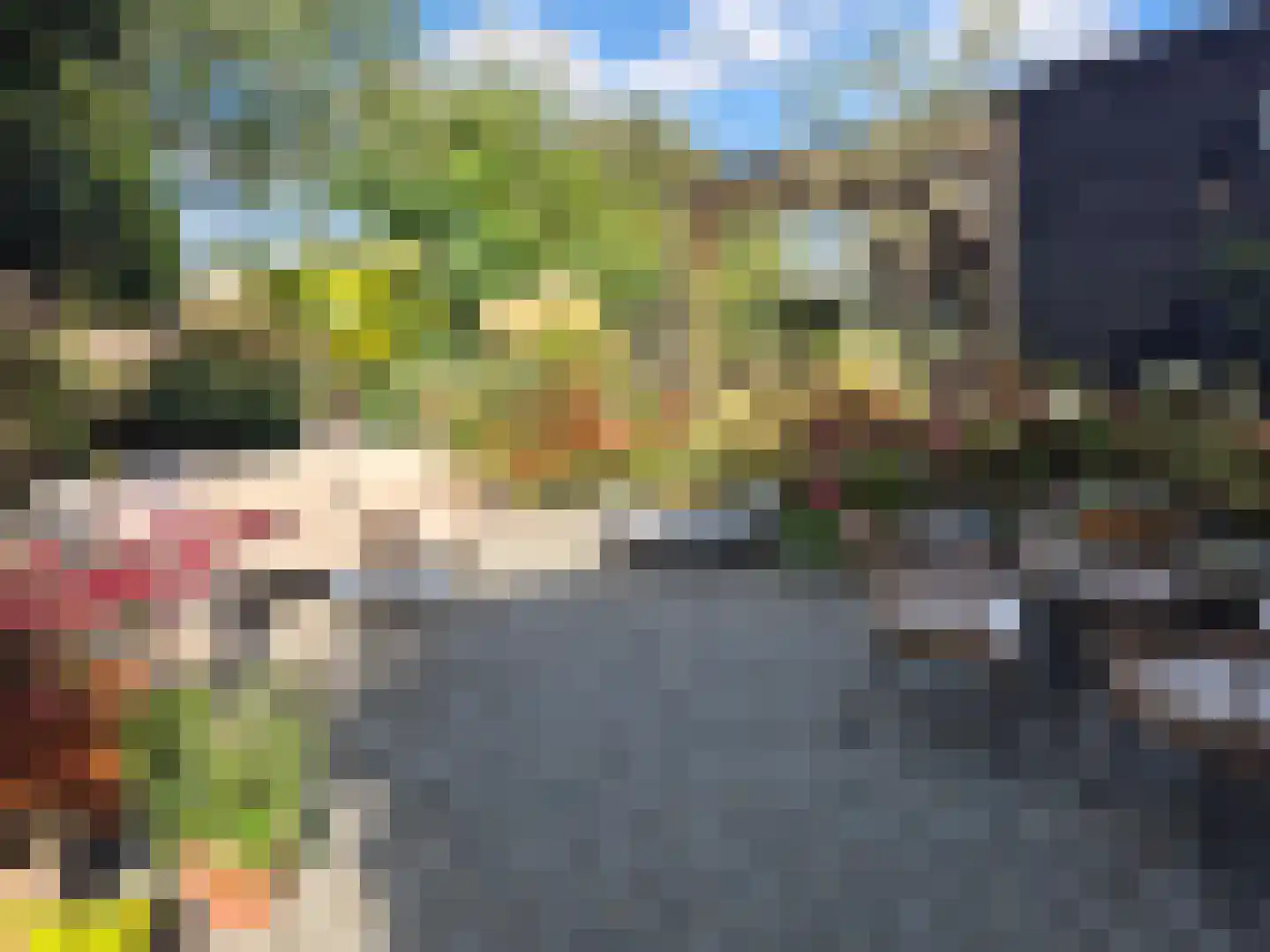 Heistraat 240 Sprang-Capelle thumbnail 47