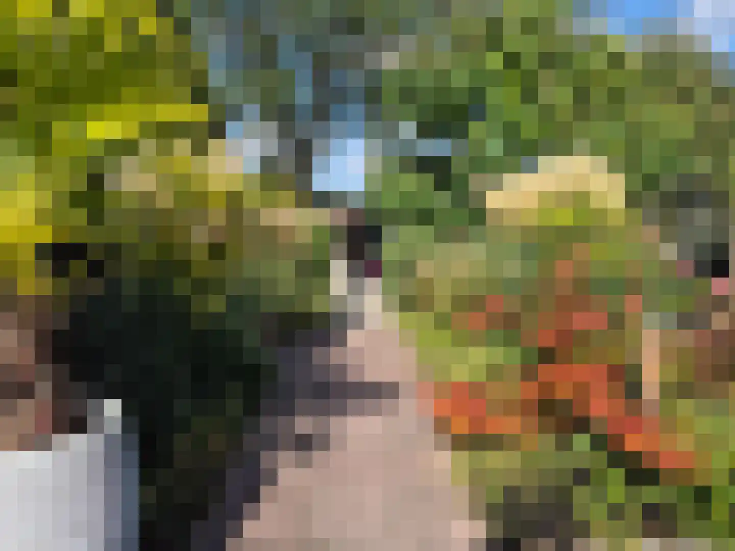 Heistraat 240 Sprang-Capelle thumbnail 48