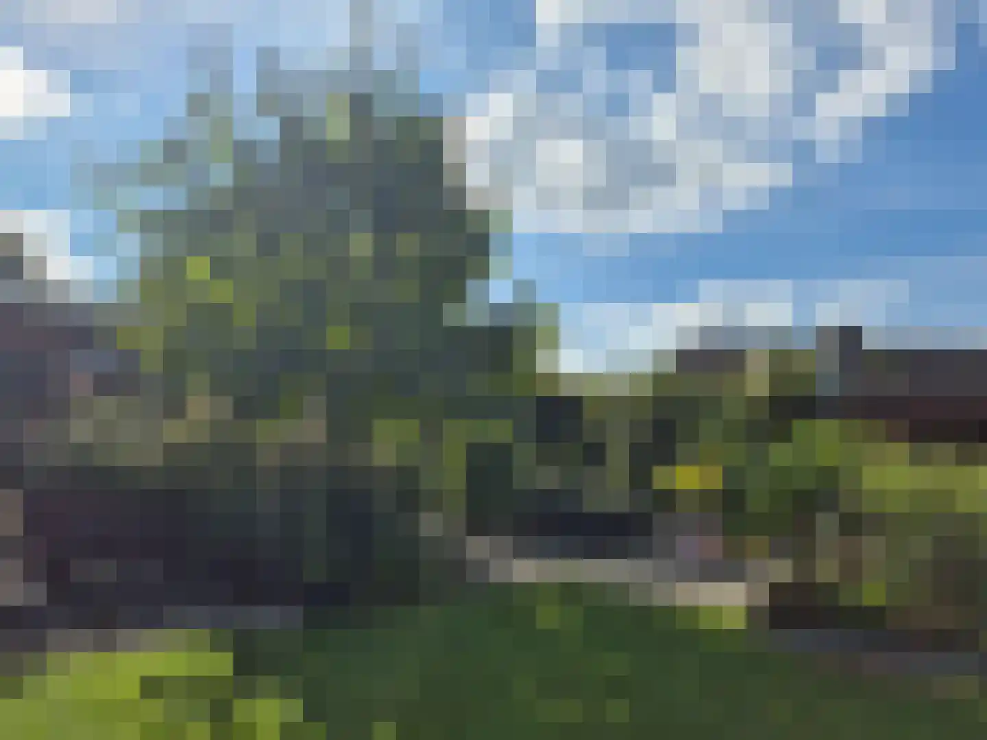 Heistraat 240 Sprang-Capelle thumbnail 50