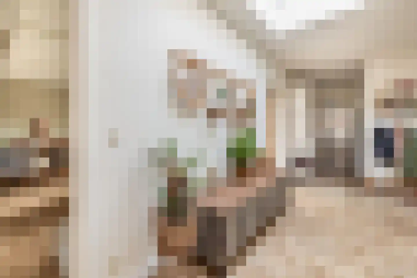 Heistraat 240 Sprang-Capelle thumbnail 8
