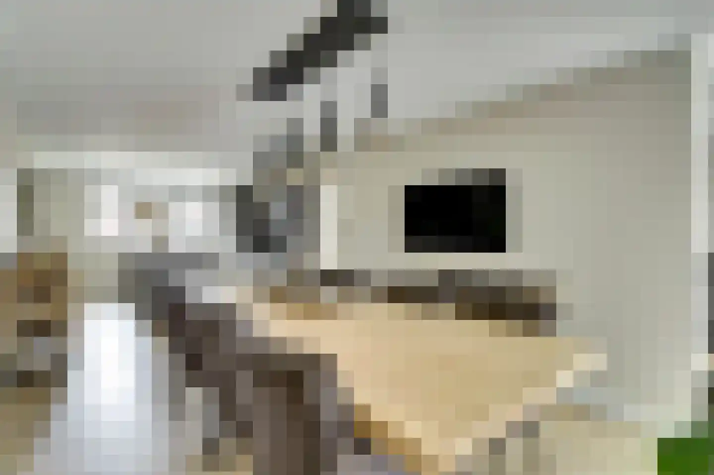 Heistraat 25 Vlijmen thumbnail 13