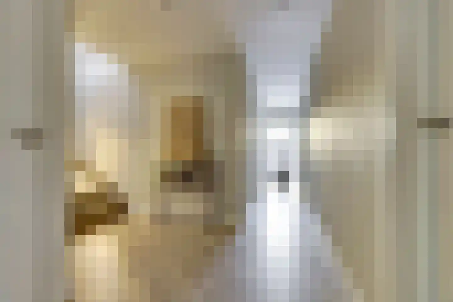 Heistraat 25 Vlijmen thumbnail 19