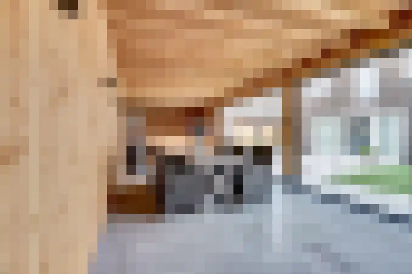 Heistraat 25 Vlijmen thumbnail 37