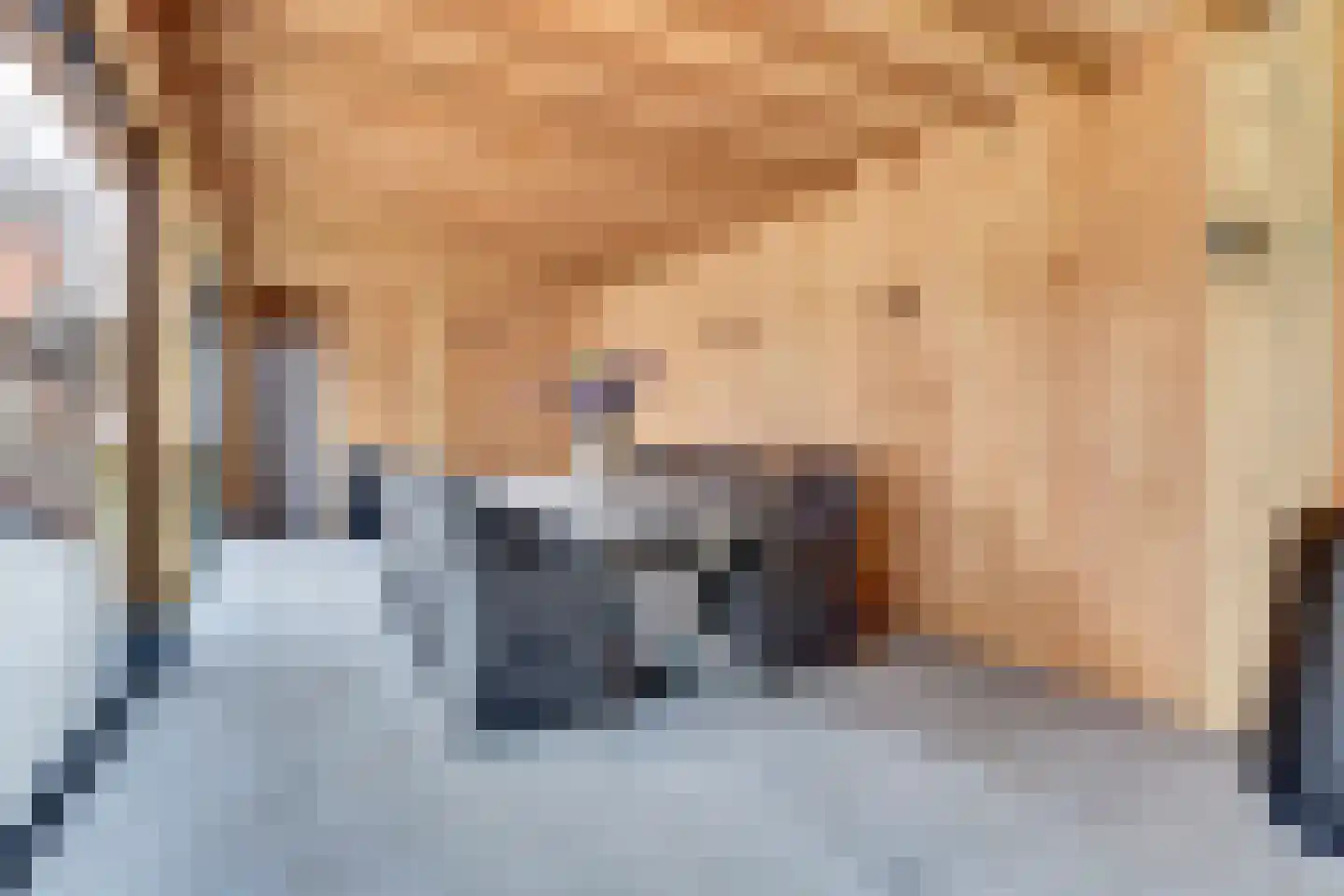 Heistraat 25 Vlijmen thumbnail 5
