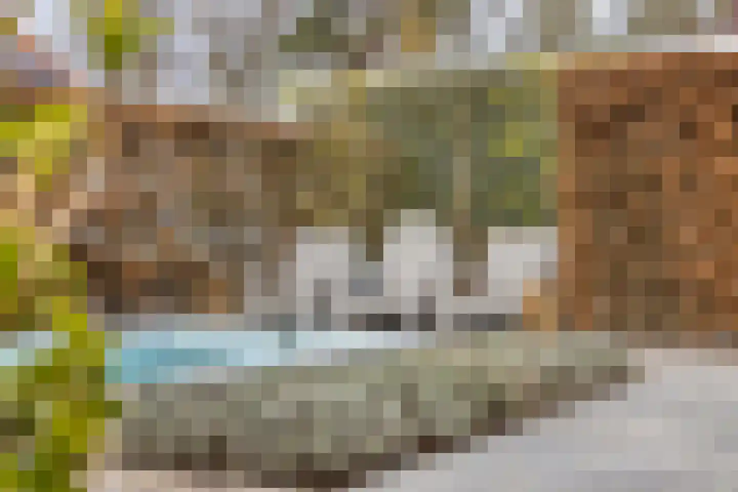 Heistraat 25 Waalre thumbnail 16