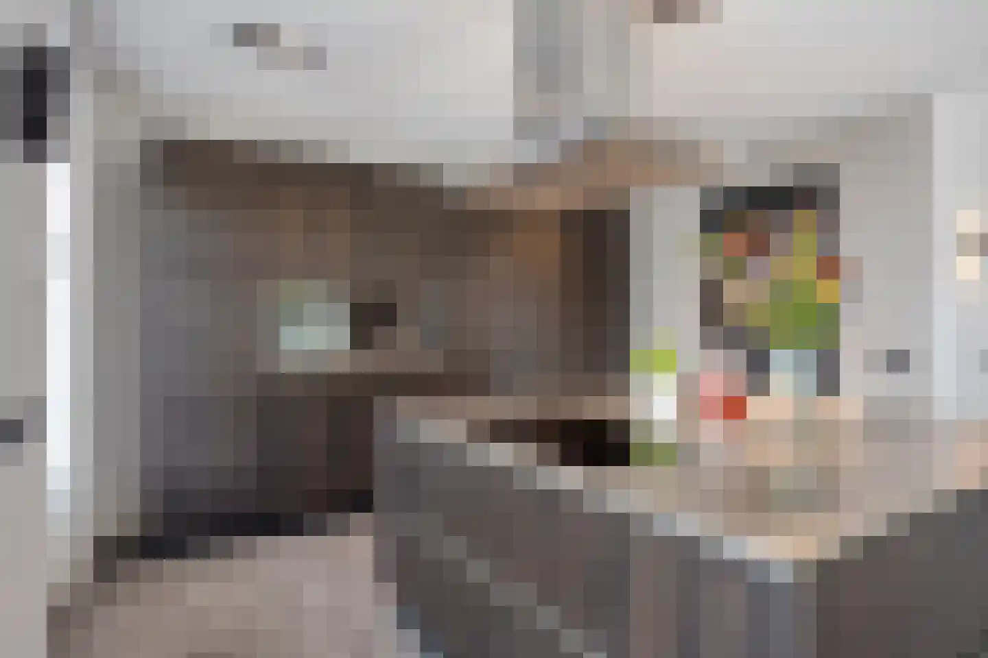 Heistraat 25 Waalre thumbnail 18