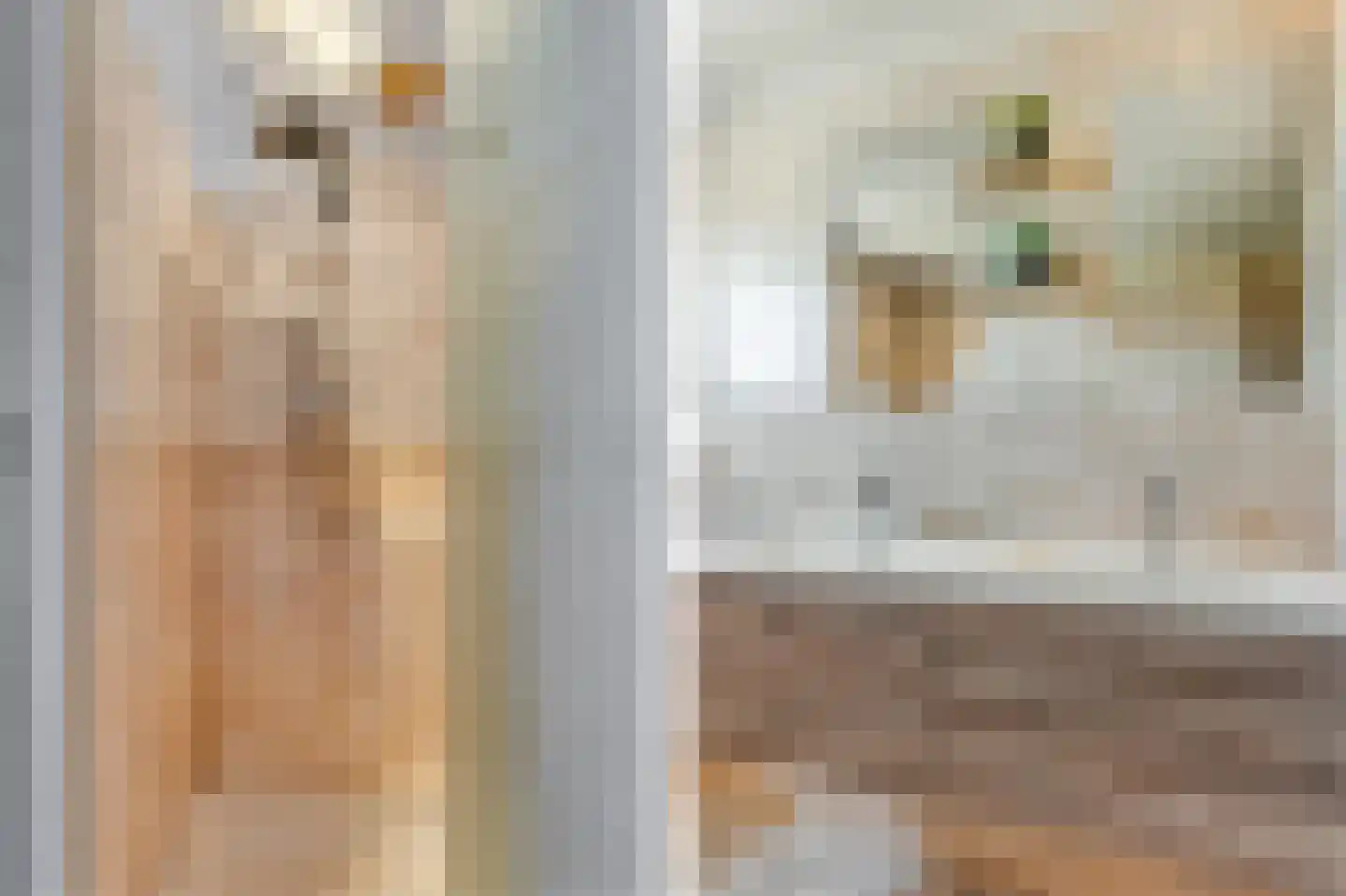 Heistraat 26 Sint-Oedenrode thumbnail 27