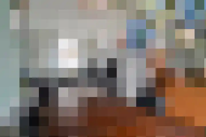 Heistraat 31 Eindhoven thumbnail 14