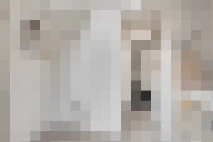 Heistraat 31 Eindhoven thumbnail 25