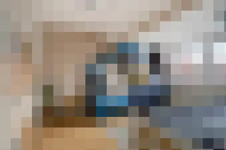 Heistraat 31 Eindhoven thumbnail 4