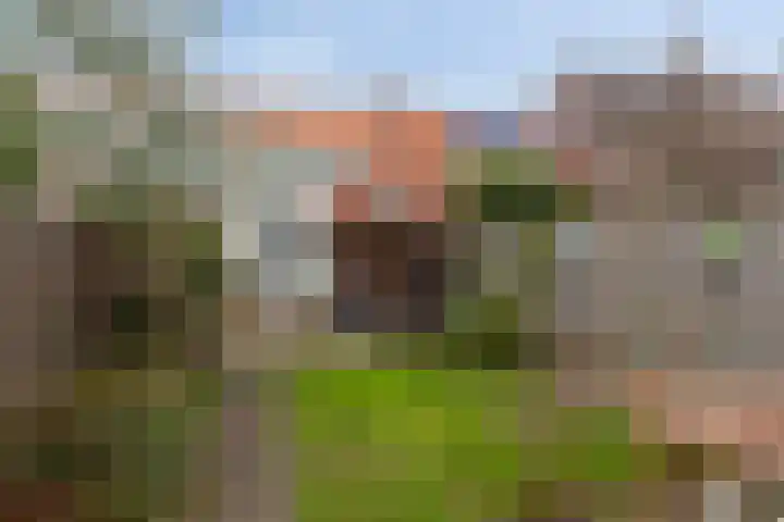 Heistraat 31 Eindhoven thumbnail 6
