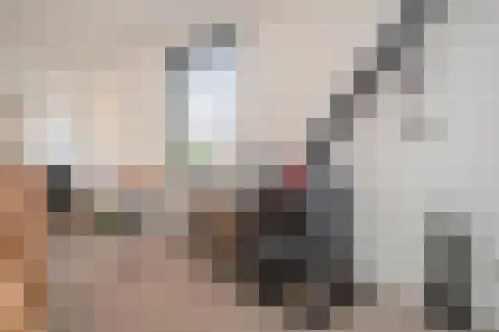 Heistraat 36 Einighausen thumbnail 16