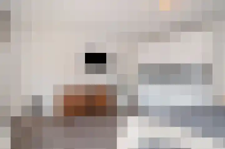 Heistraat 36 Einighausen thumbnail 36
