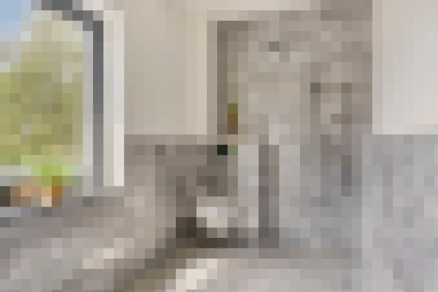 Heistraat 36 Valkenswaard thumbnail 43