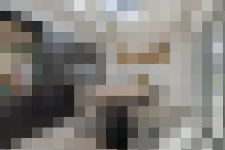 Heistraat 37 Valkenswaard thumbnail 33