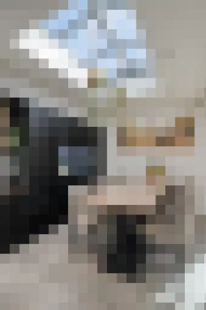 Heistraat 37 Valkenswaard thumbnail 34