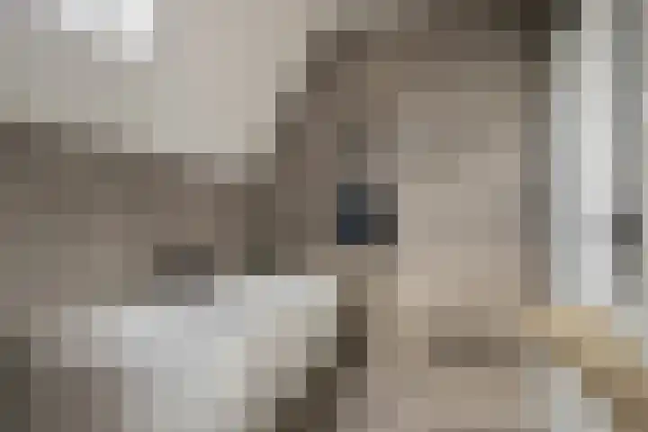 Heistraat 37 Valkenswaard thumbnail 54