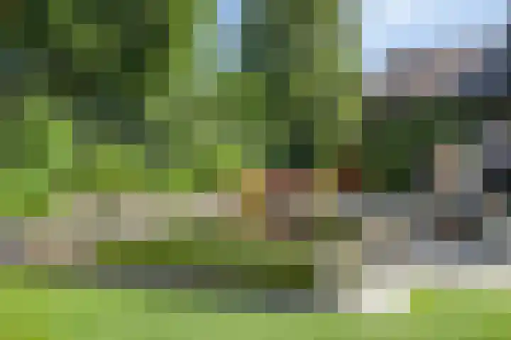 Heistraat 37 Valkenswaard thumbnail 68