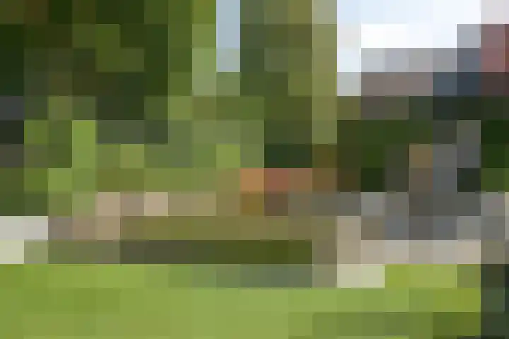 Heistraat 37 Valkenswaard thumbnail 71