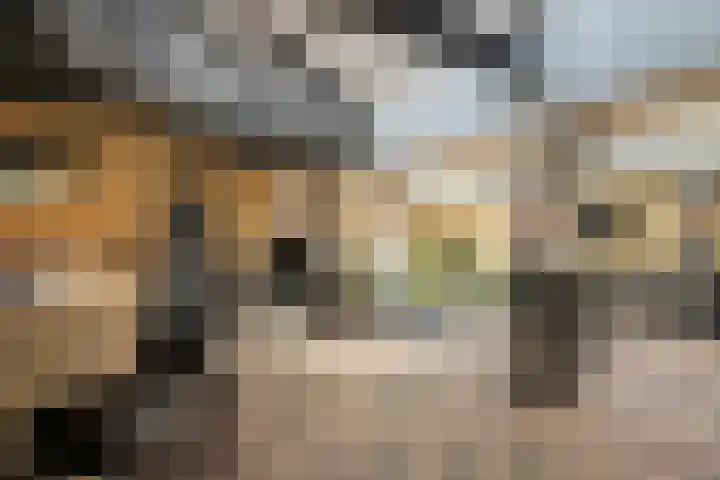 Heistraat 37 Valkenswaard thumbnail 78