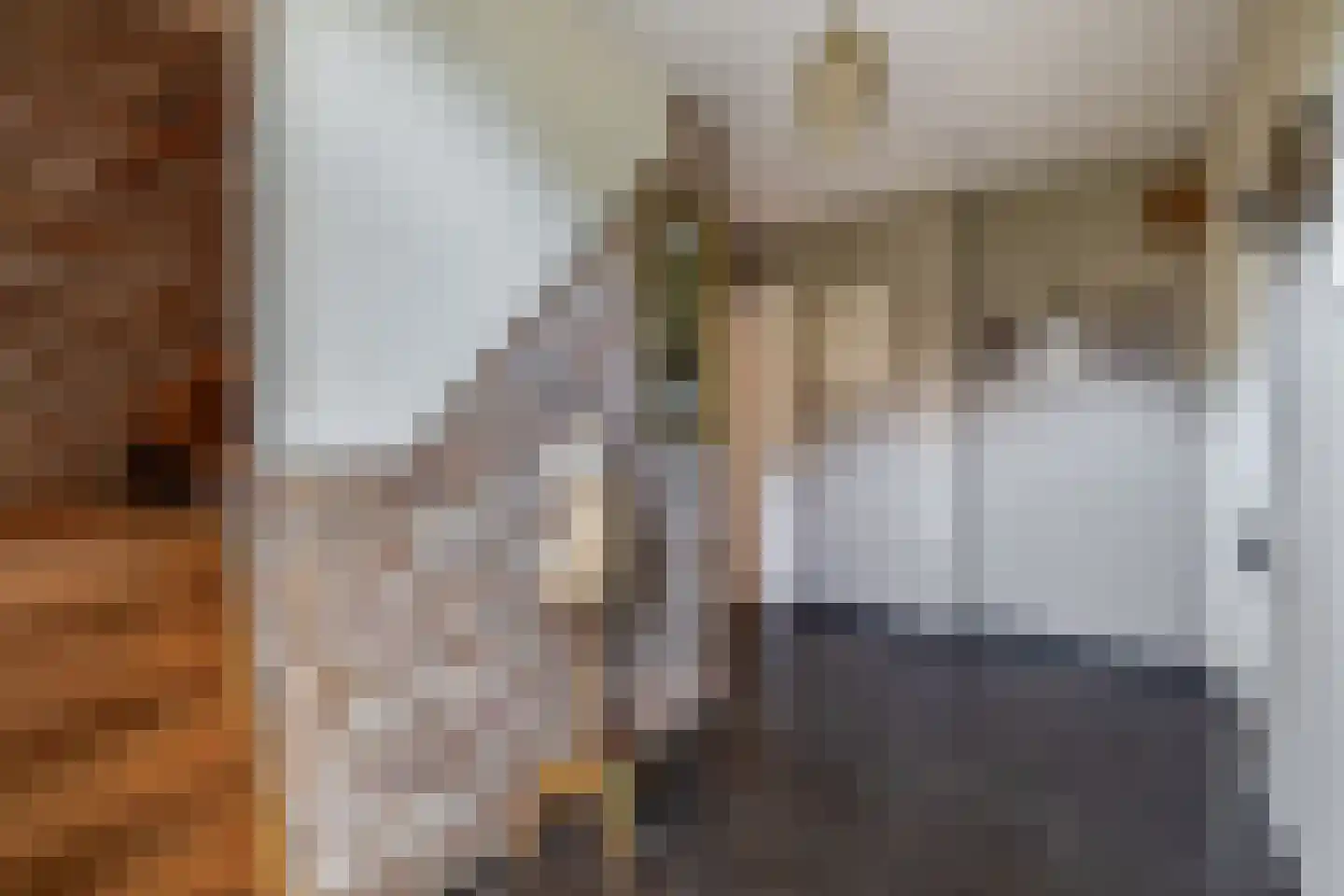 Heistraat 38 Sprang-Capelle thumbnail 10