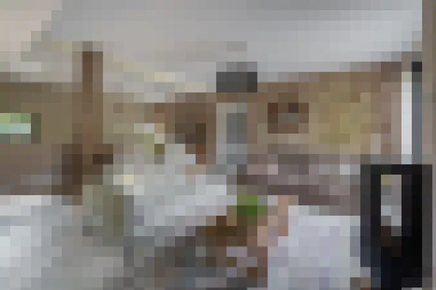 Heistraat 38 Sprang-Capelle thumbnail 12