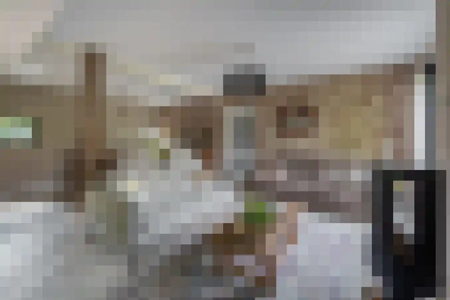 Heistraat 38 Sprang-Capelle thumbnail 13