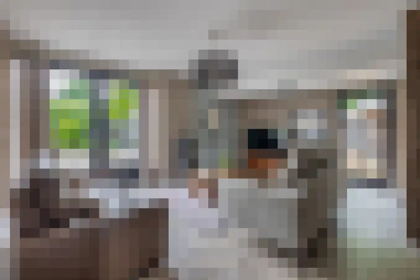 Heistraat 38 Sprang-Capelle thumbnail 15