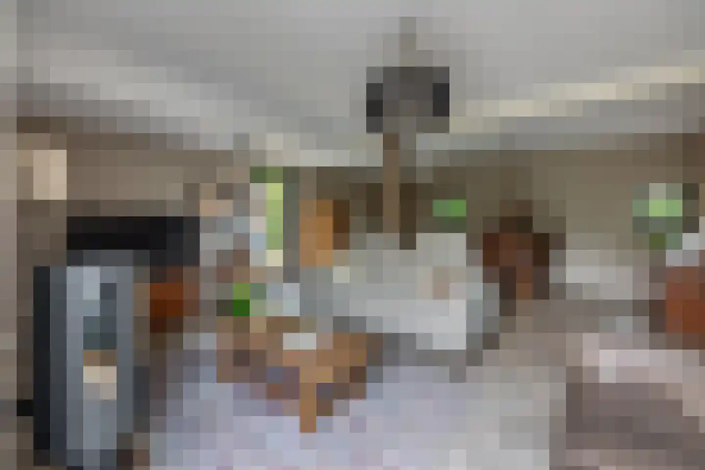 Heistraat 38 Sprang-Capelle thumbnail 16