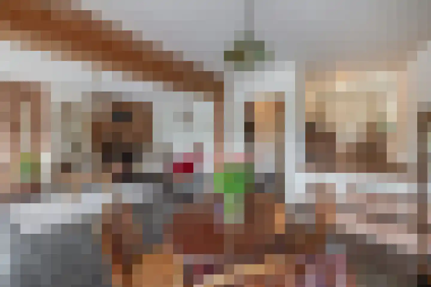 Heistraat 38 Sprang-Capelle thumbnail 24