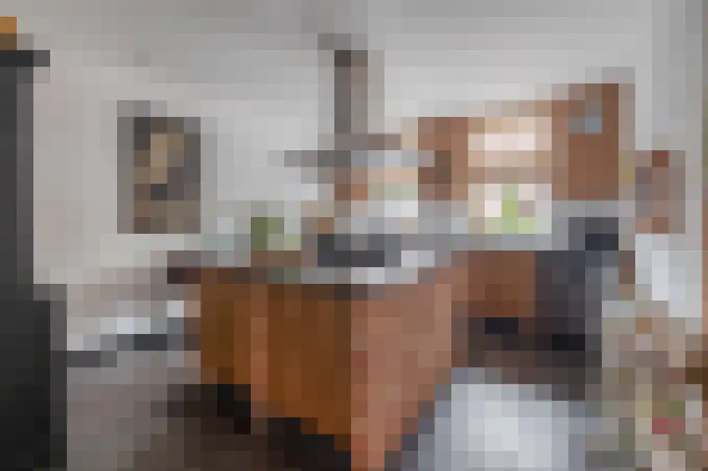 Heistraat 38 Sprang-Capelle thumbnail 27