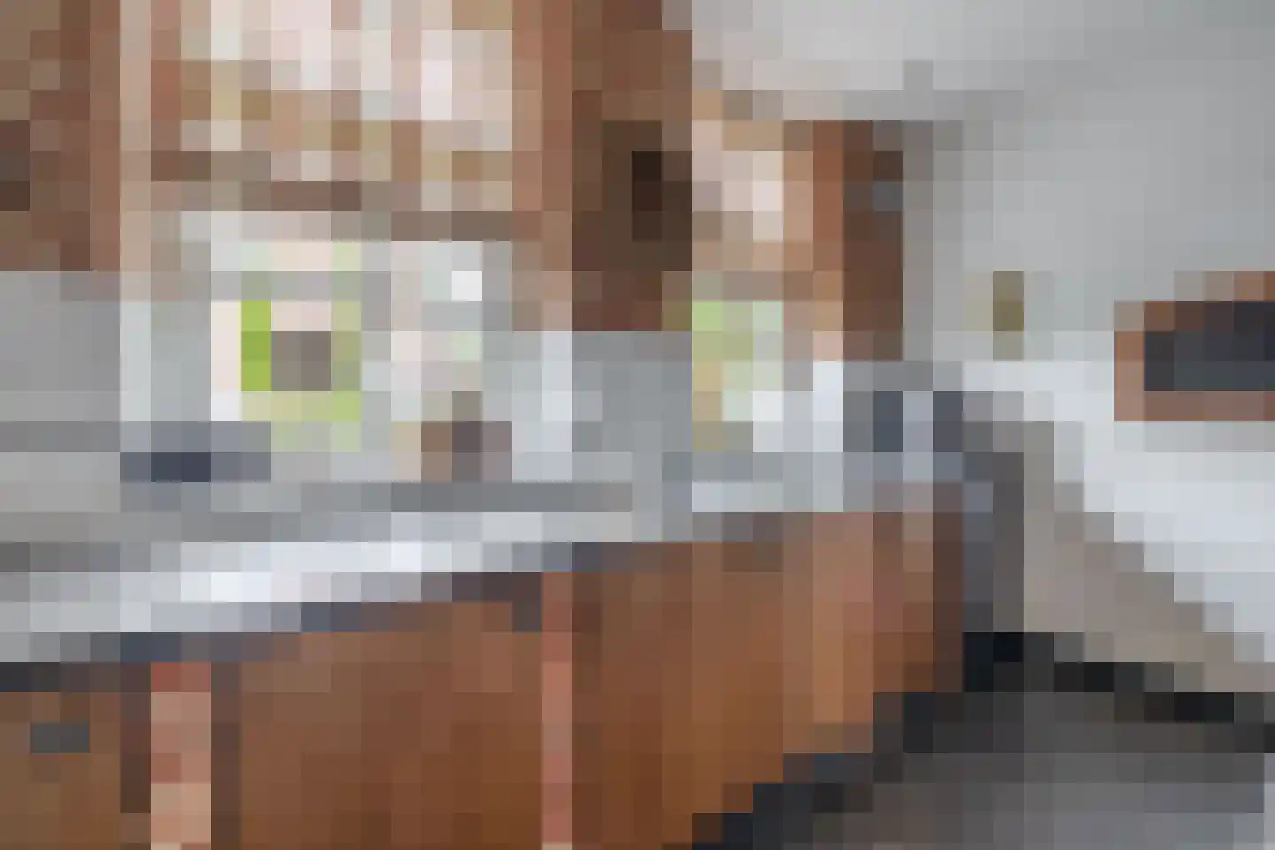 Heistraat 38 Sprang-Capelle thumbnail 30