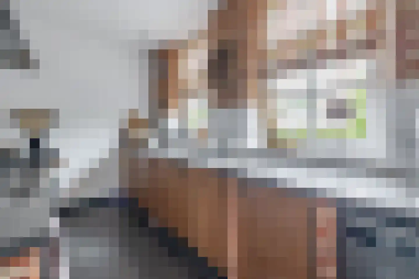 Heistraat 38 Sprang-Capelle thumbnail 31