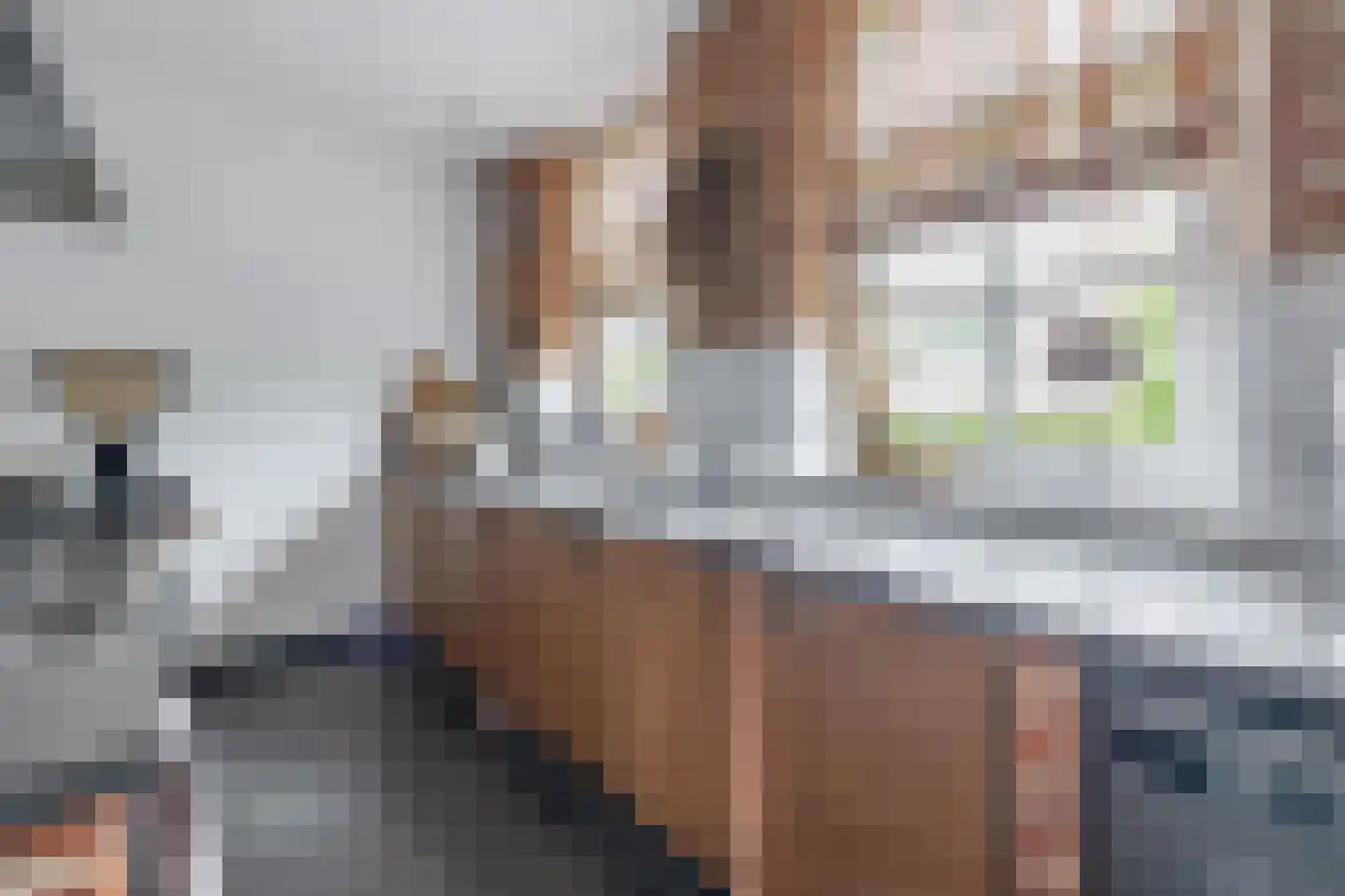 Heistraat 38 Sprang-Capelle thumbnail 32