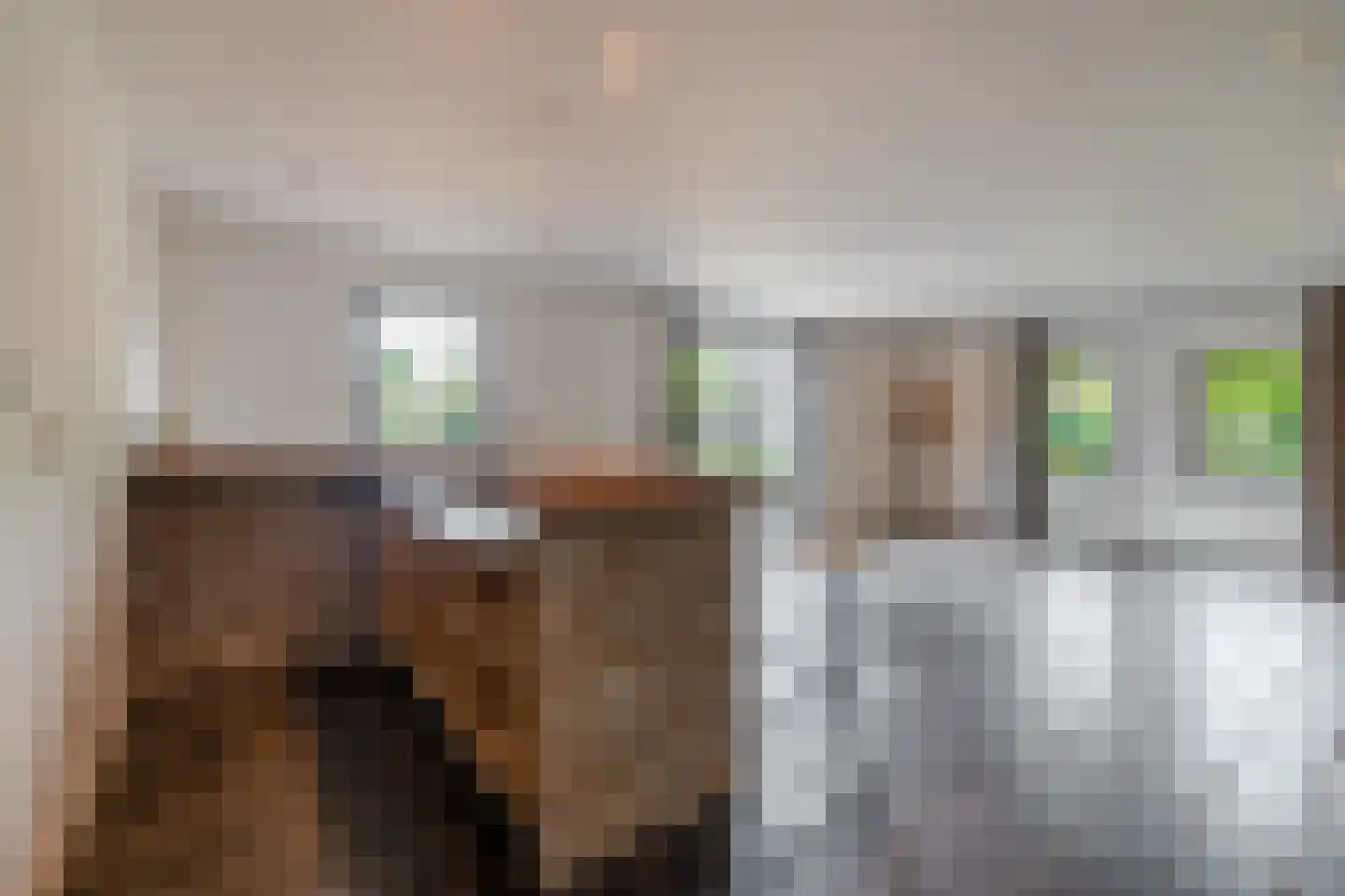 Heistraat 38 Sprang-Capelle thumbnail 48