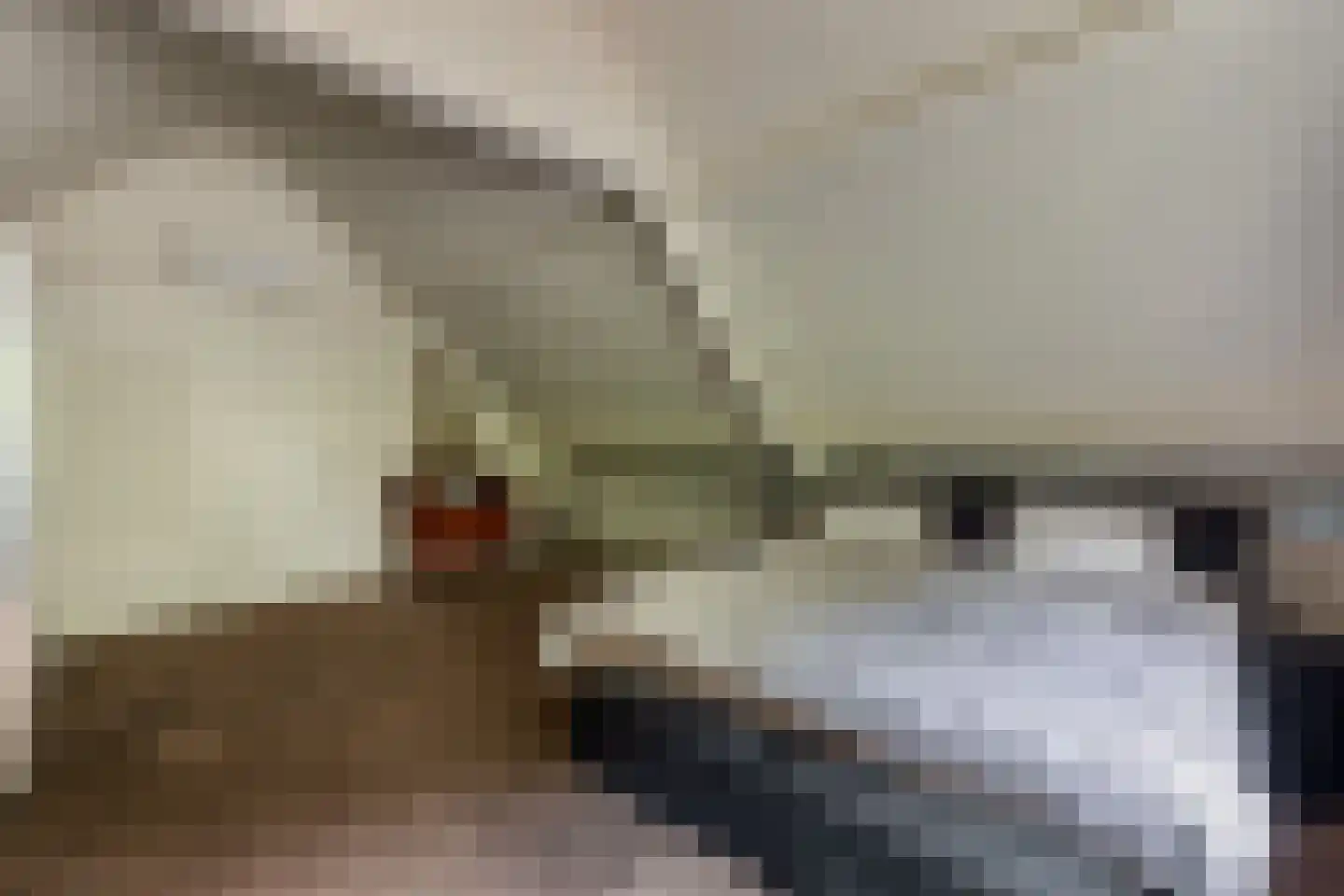 Heistraat 38 Sprang-Capelle thumbnail 52