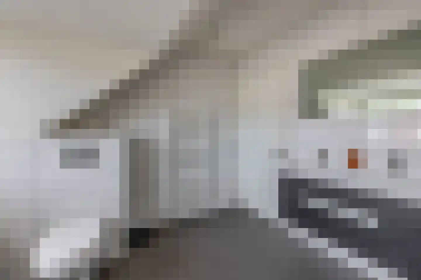 Heistraat 38 Sprang-Capelle thumbnail 56