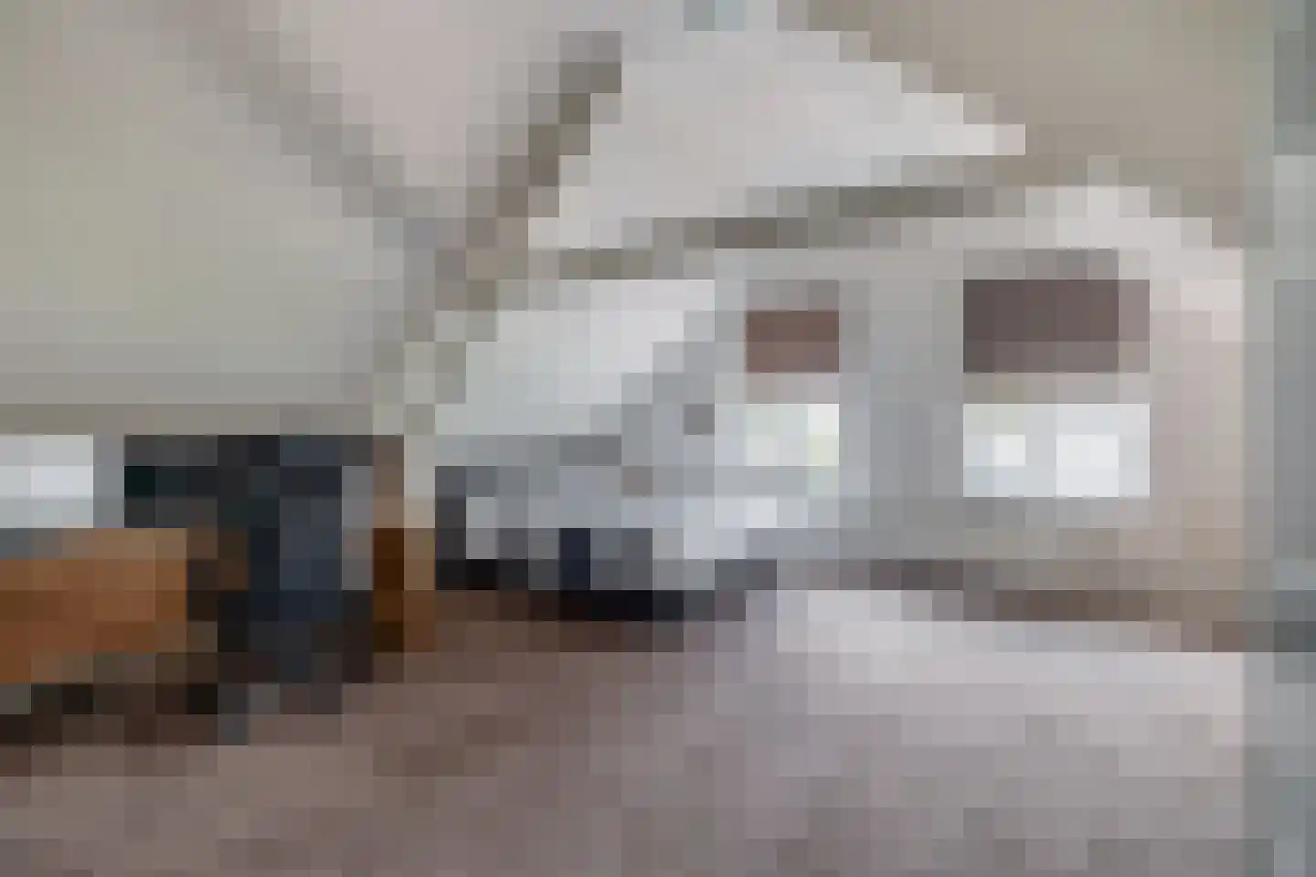 Heistraat 38 Sprang-Capelle thumbnail 63