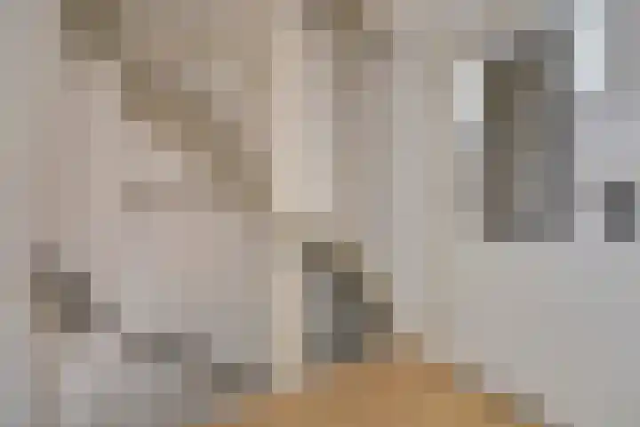 Heistraat 4 Vlijmen thumbnail 24